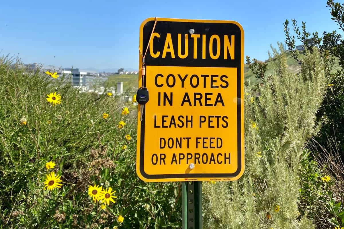 A caution sign for coyote prevention and safety in Tennessee