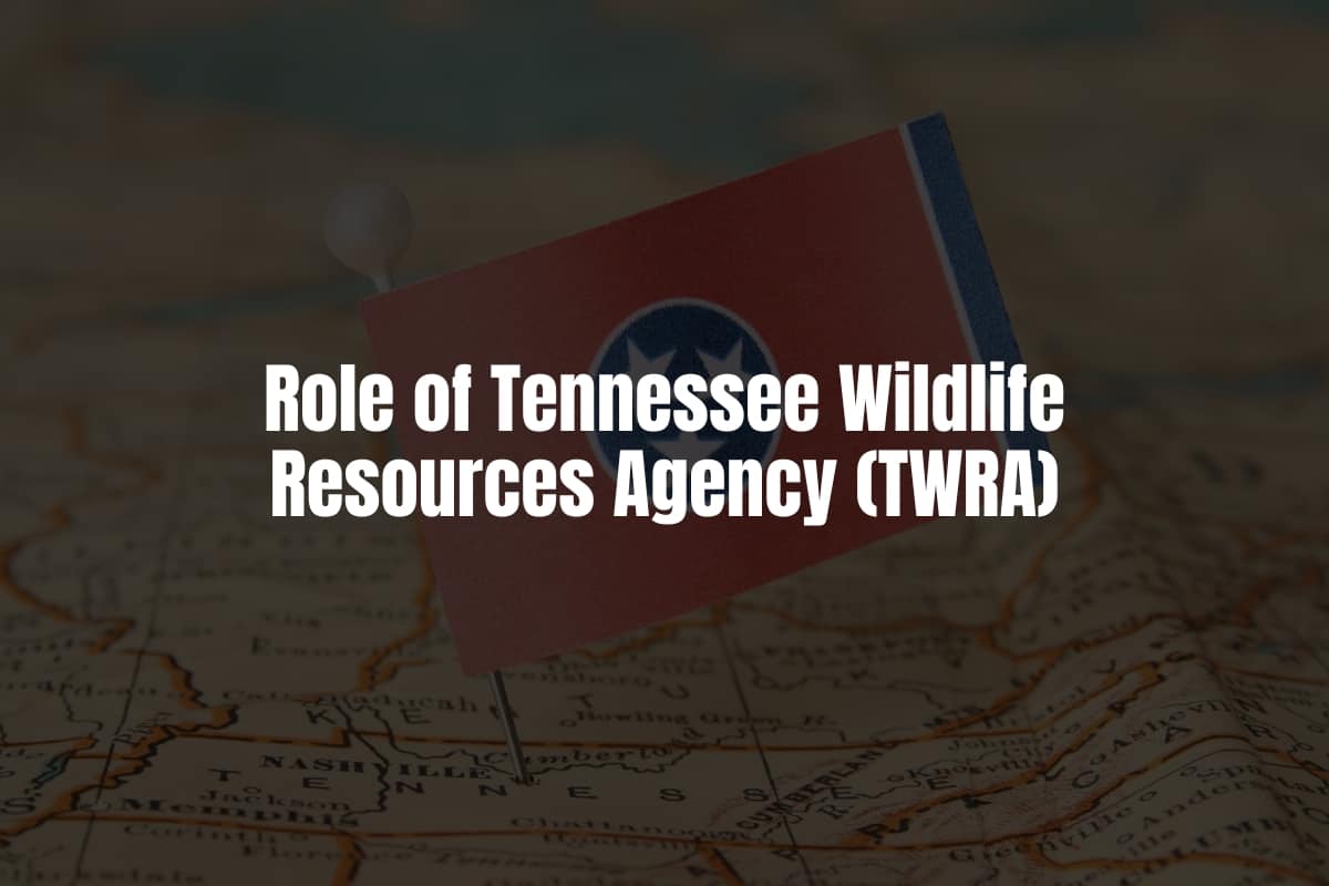 Role of Tennessee Wildlife Resources Agency (TWRA)