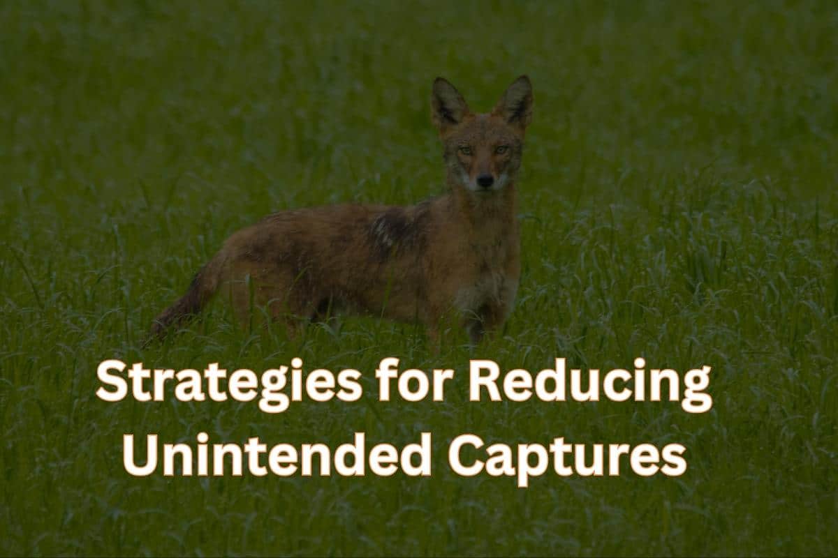 Strategies for Reducing Unintended Captures