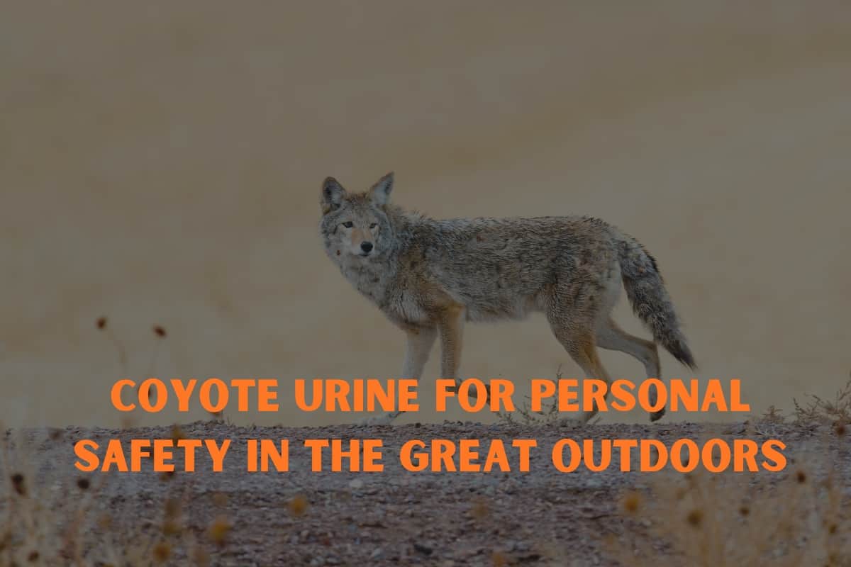 Coyote Urine for Personal Safety Outdoors